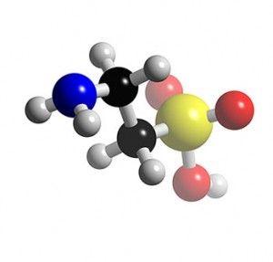 Taurine?