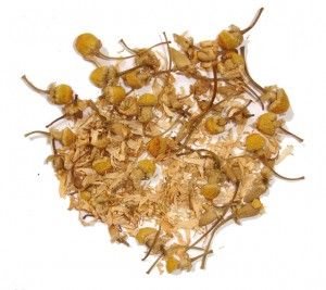 Chamomile Tea Regulates Blood Sugar, Prevents and Manages Diabetes