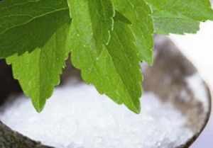 Natural, Healthy and Sweet – The Benefits of Stevia