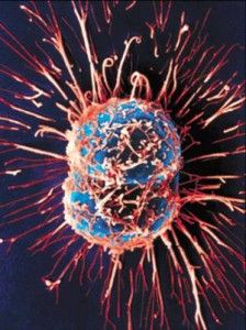 The Truth About Cancer Cells.