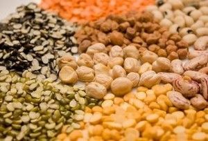Protein Sources for All Lifestyles