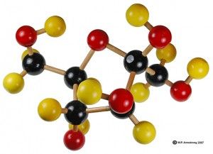 Does Fructose Really Cause Cancer?
