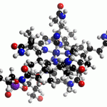 Vitamin B12 Benefits