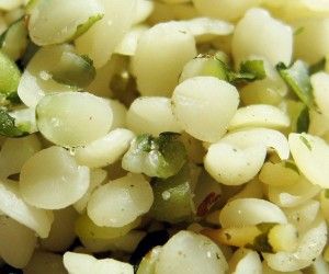 Hemp Seeds: The Most Nutritionally Complete Food Source In The World!