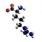 Role and Benefits of L-Arginine