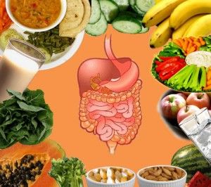 Importance of Absorption