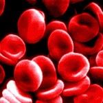 RH Factor In Blood