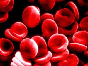 RH Factor In Blood