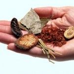 An Introduction to Chinese Medicine