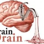 Foods That Drain Your Brain