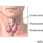 Hyperparathyroidism
