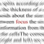 Foods for a Focused Mind