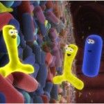 Probiotics