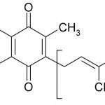 The Awful Truth About Coenzyme Q10