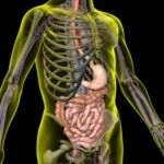 Colon Hydrotherapy – the Good and the Bad