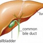 Gallbladder Diet: Foods for Gallbladder Problems