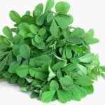 Benefits of Fenugreek