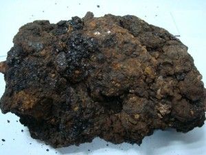What Is Shilajit?