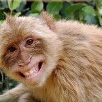 7 Benefits of Laughter