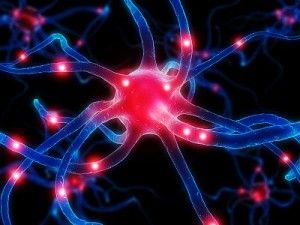 The Truth About Cortisol