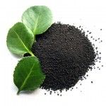 What Is Humic Acid?