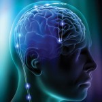 brain-function