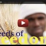 Seeds of Freedom