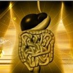10 Remedies To Improve Your Digestion Naturally