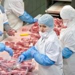 What’s That Meat On Your Plate?