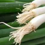The Health Benefits of Spicy Scallions