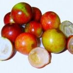 Camu Camu Amazing Health Benefits