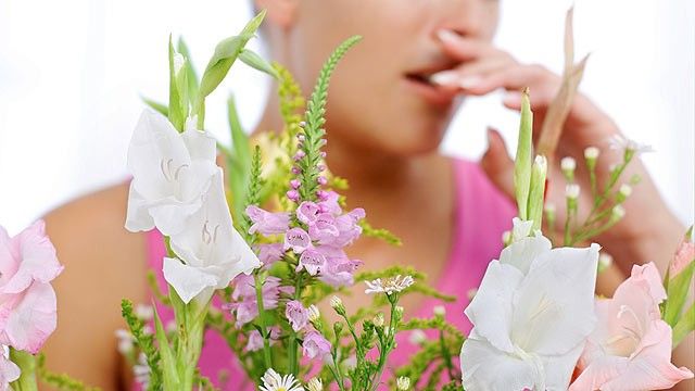 New Research Reveals Surprising Causes of Asthma & Allergies