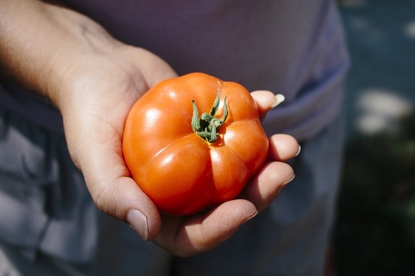 Are Tomatoes Bad for You?