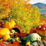 Top Ten Autumn Foods
