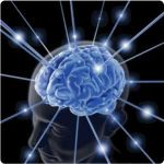 Brain Workouts – Effective Ways to Exercise Your Brain