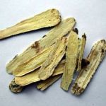 Astragalus Root Benefits 