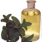 Peppermint Oil for Upset Stomach