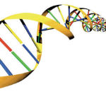 DNA can be influenced and reprogrammed?