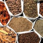 Top 10 Ayurvedic Herbs