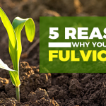 What Is Fulvic Acid And Why Is It Important For Your Health