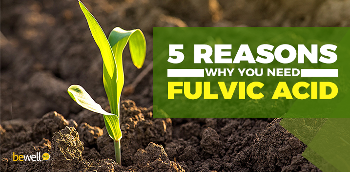 What Is Fulvic Acid and Why Is It Important for Your Health