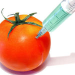 Top 10 Genetically Modified Foods To Avoid