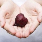 Beets for Cardiovascular Health