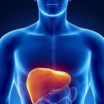 How Healthy Is Your Liver?