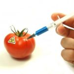 Can You Trust Studies On GM Foods?