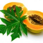 5 Benefits of Papaya and Its Leaves