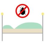 10 Ways To Get Rid Of Bed Bugs Naturally!