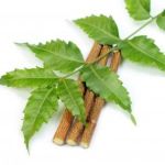 What Is Neem, Its Uses and Health Benefits.