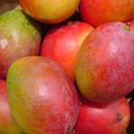 The Health Benefits of Lusciously Sweet Mangoes
