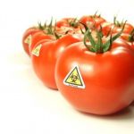 GMO and Your Health